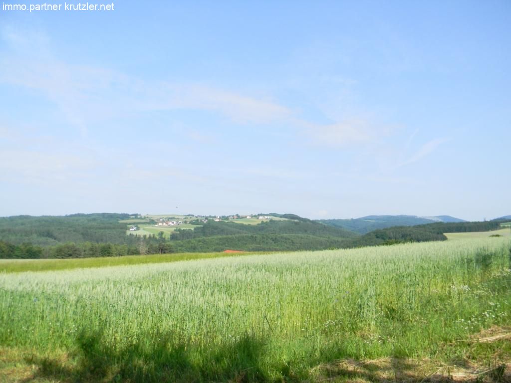 Panorama-Aussicht (1)