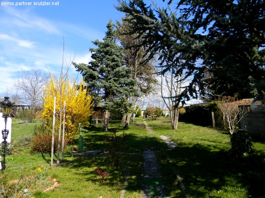 Garten im März