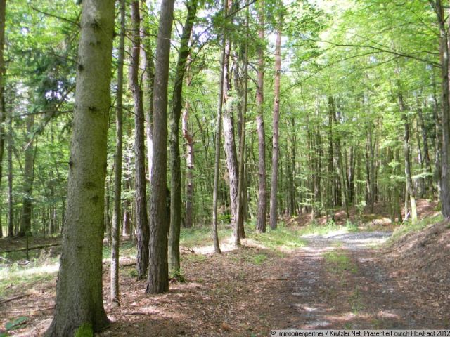 Weg an der nordseitigen Grundgrenze