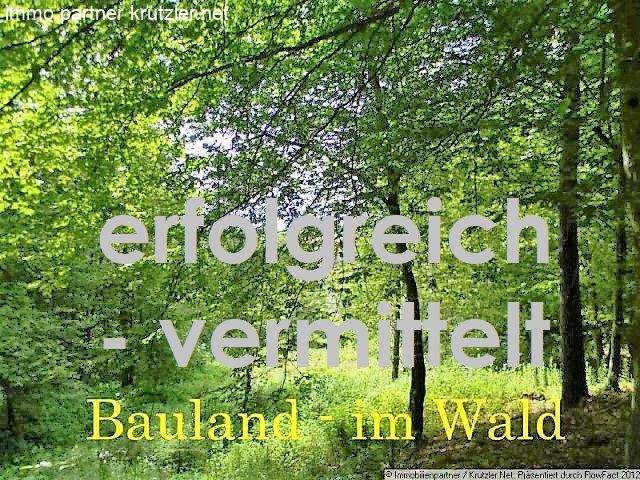 Bauland im Wald