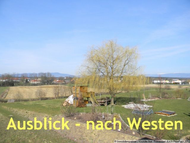 Ausblick vom DG nach Westen