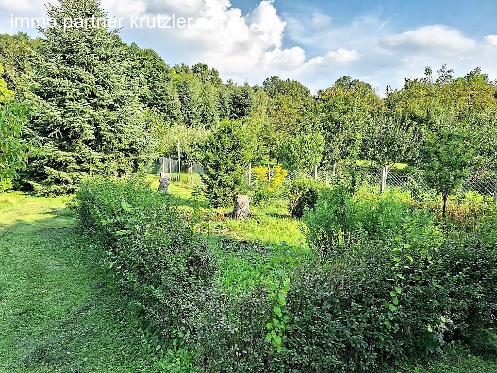 Garten (2)